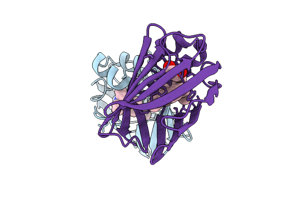 9DFB image
