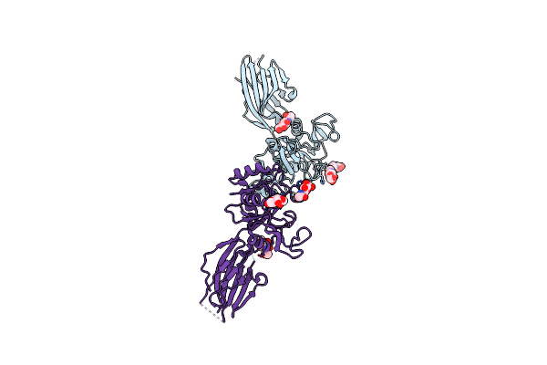 9DFF image