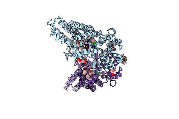 9DFG image