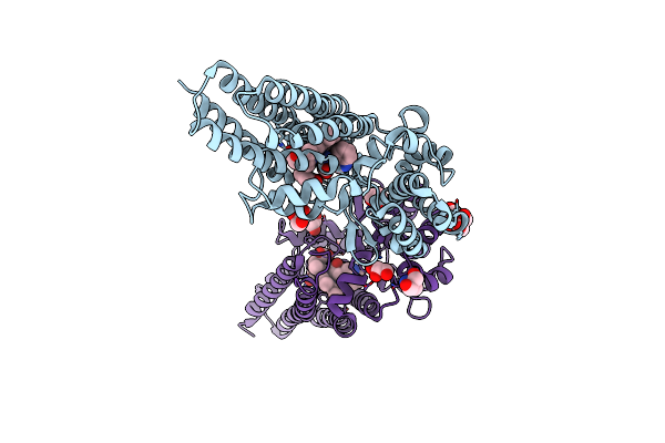 9DFI image