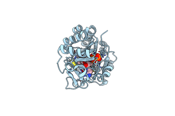 9DFN image