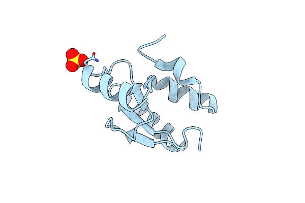 9DFO image