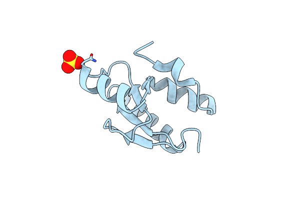9DFP image