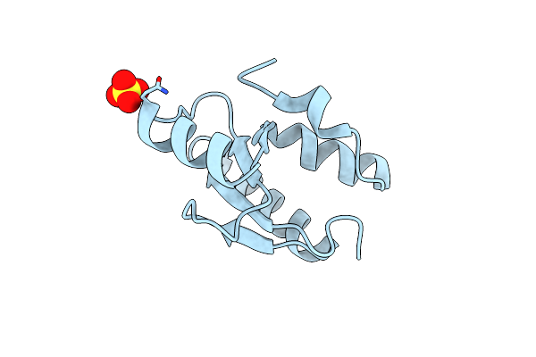 9DFR image