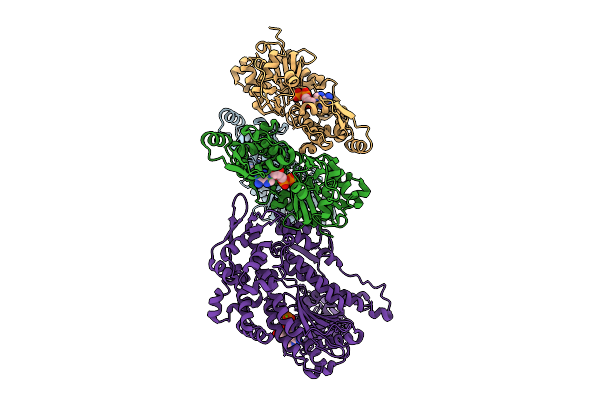 9DFV image