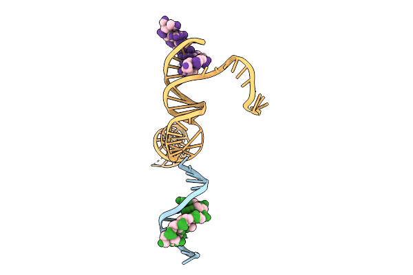 9DFZ image