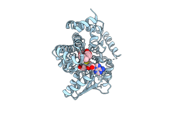 9DGA image