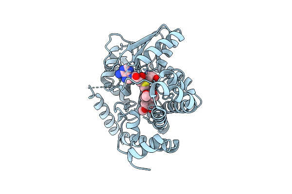 9DGC image