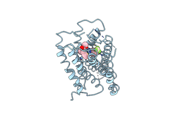 9DGI image