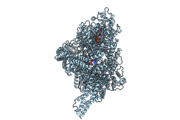 9DGP image