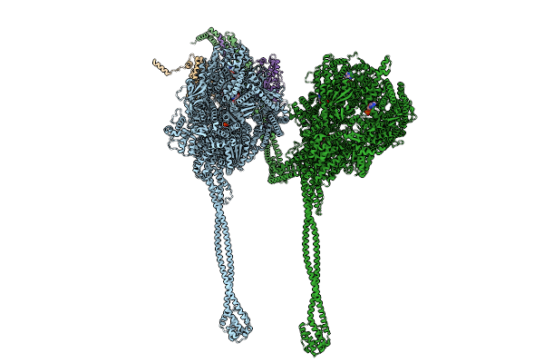 9DGQ image