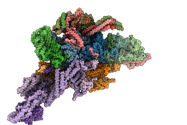9DGT image