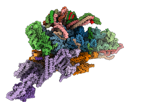 9DGU image