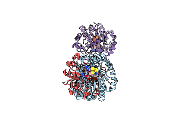 9DGW image