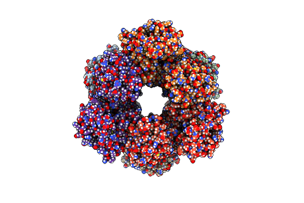 9DGZ image