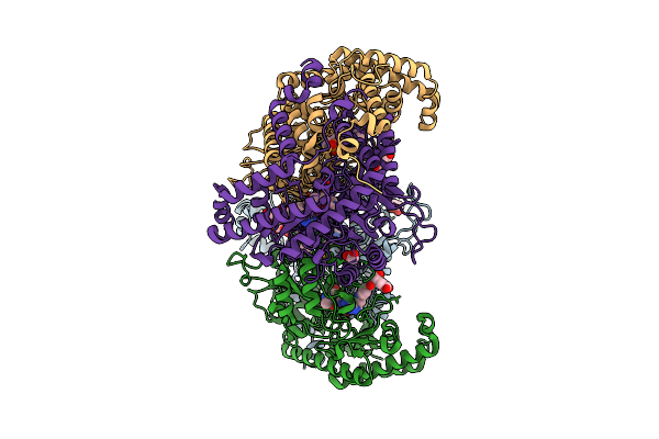 9DHB image
