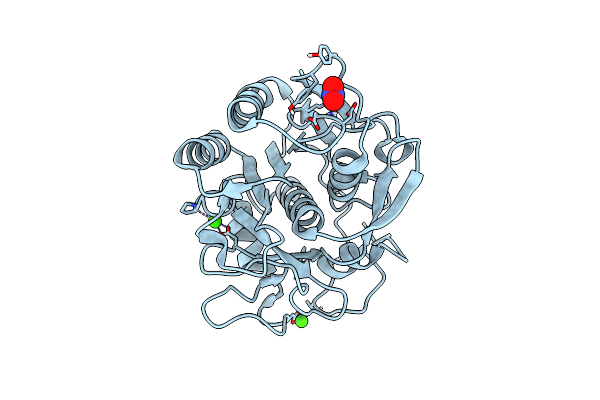 9DHO image