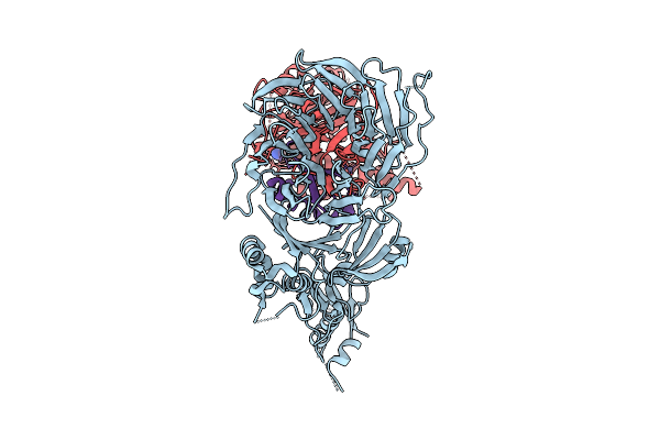 9DI2 image