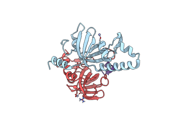 9DI4 image