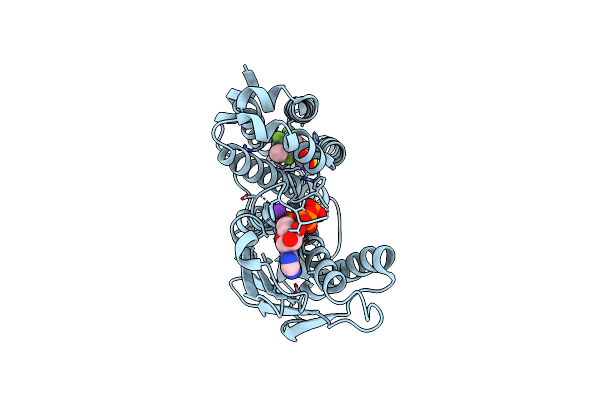 9DI9 image