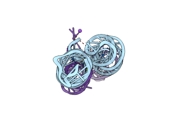 9DIB image