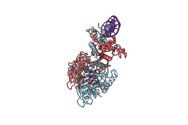 9DIH image