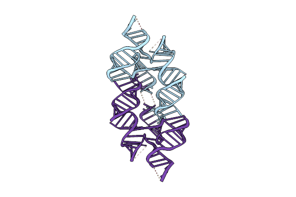 9DII image
