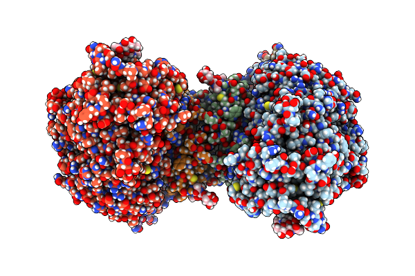 9DIX image
