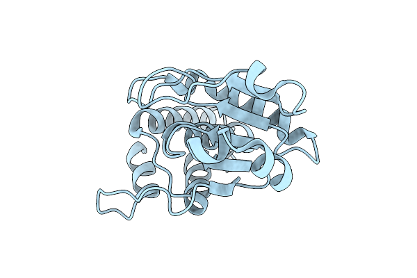 9DJ9 image