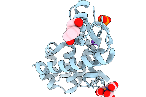 9DJA image