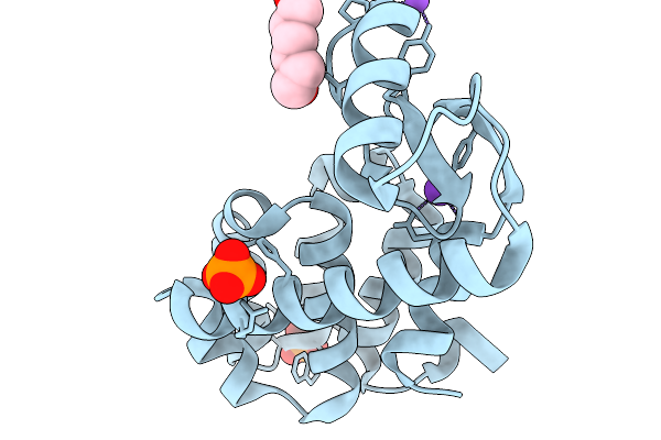 9DJB image