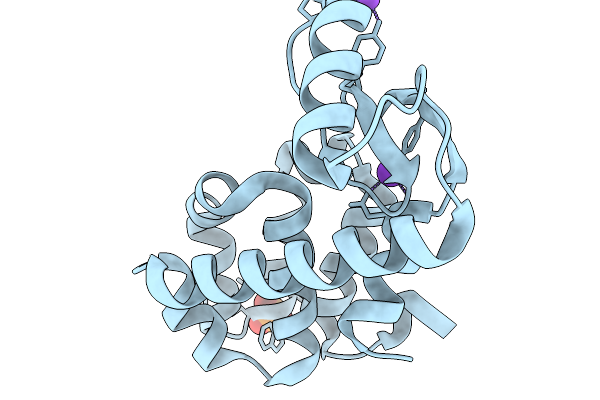 9DJC image