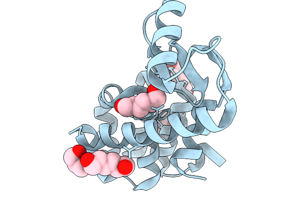 9DJE image