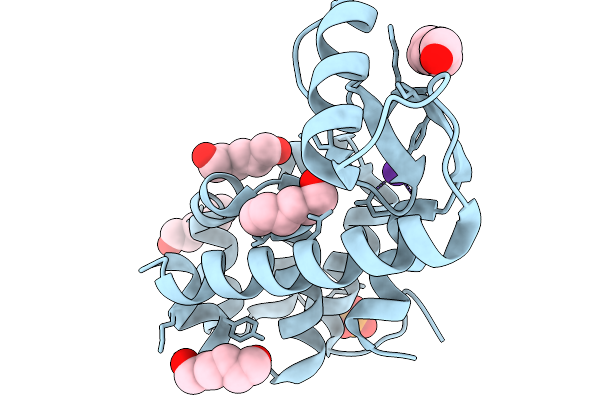 9DJK image