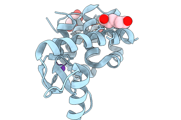 9DJL image
