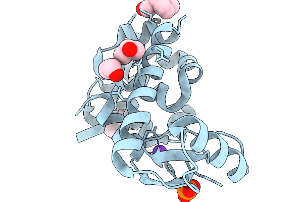 9DJM image
