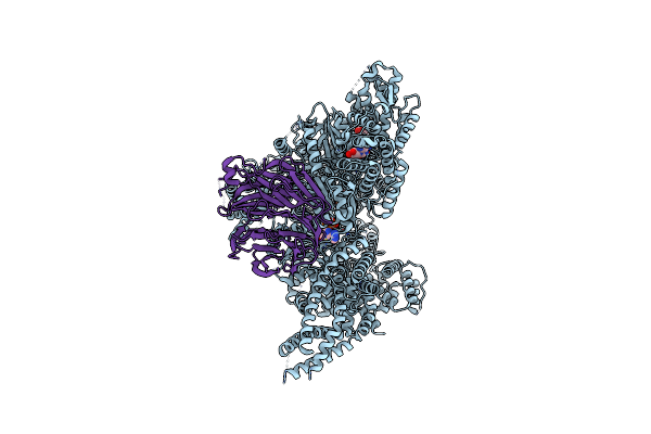 9DJU image
