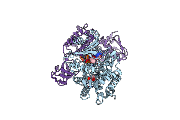 9DK2 image