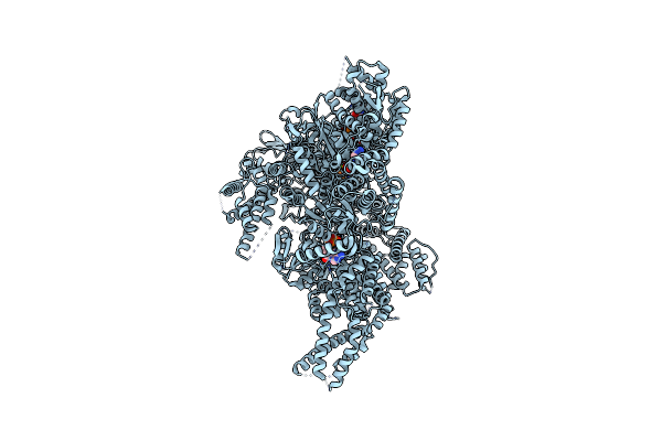 9DKD image