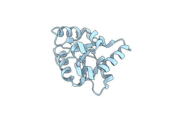 9DKI image