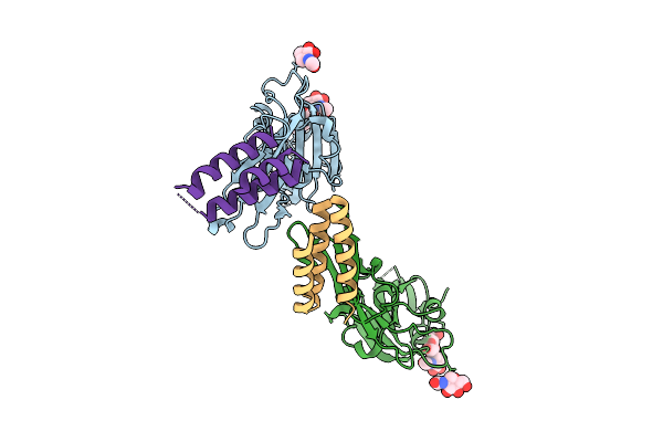 9DKK image