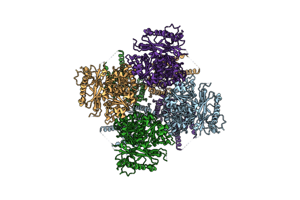 9DKN image