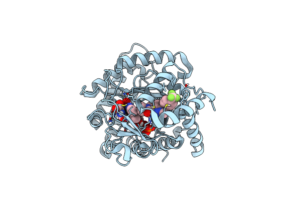 9DKO image