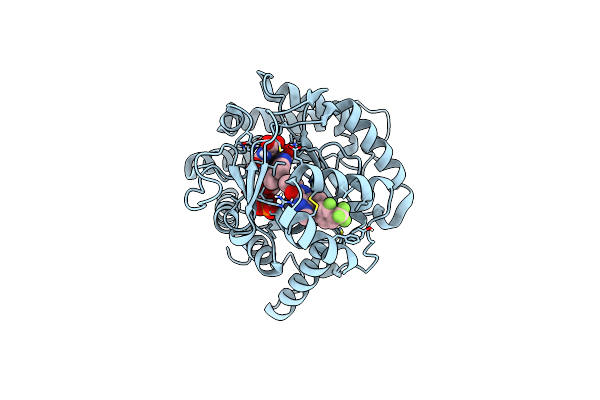 9DKQ image