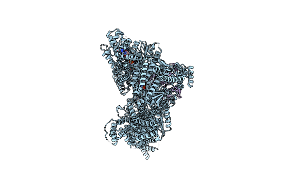 9DKX image