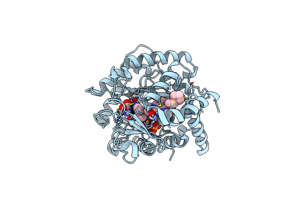 9DKY image