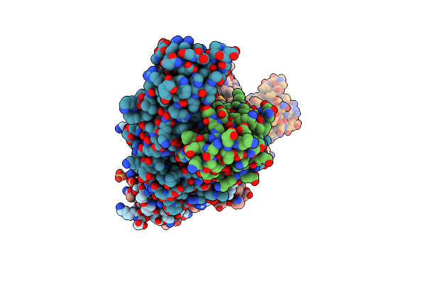 9DL1 image