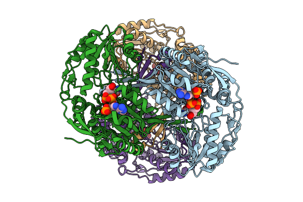 9DLA image