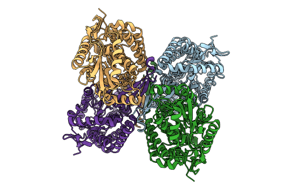9DLB image