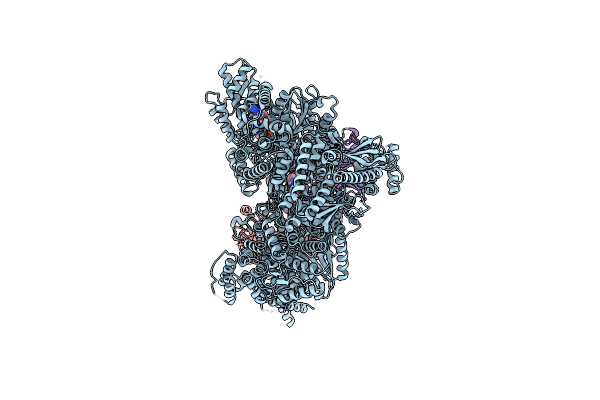 9DLD image